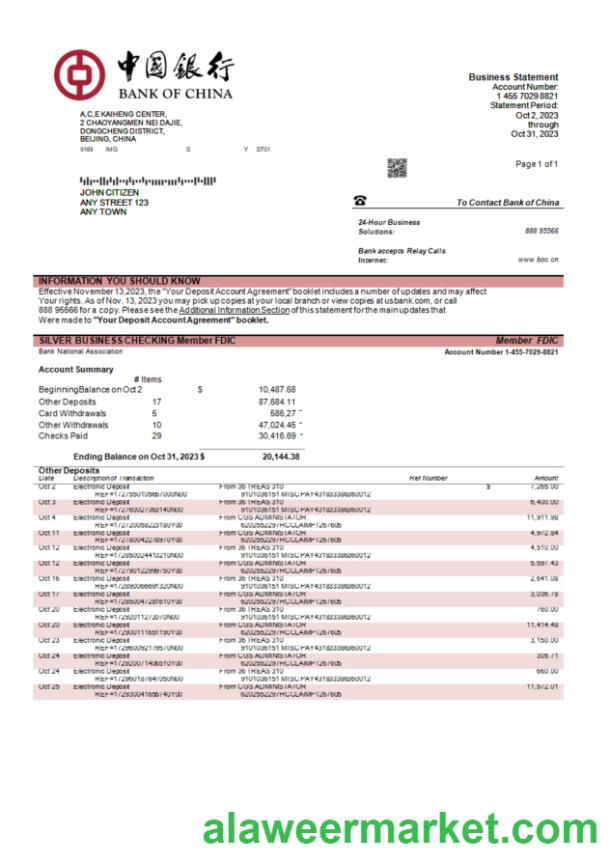 Bank of China enterprise statement Word and PDF template